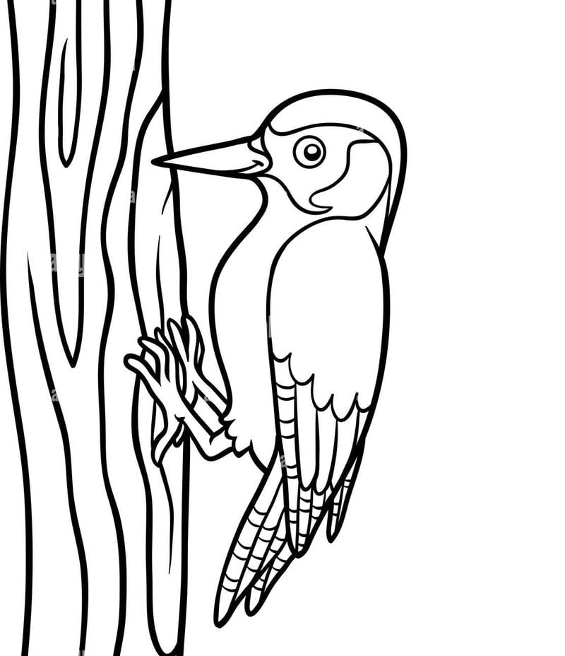 Pic coloriage