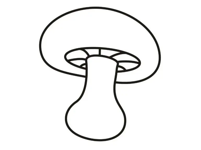 Pilze Ausmalbilder