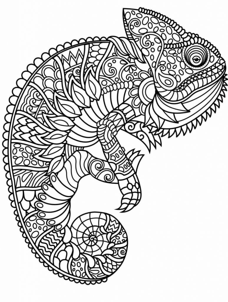 lagarto iduana para colorir mandala