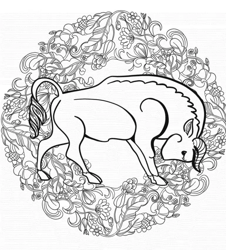 mandala bika bojanka