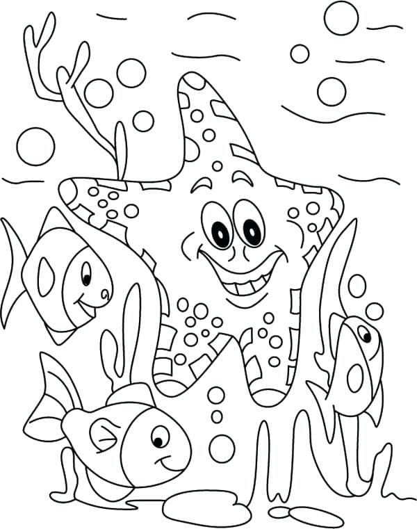 Étoile de mer coloriage