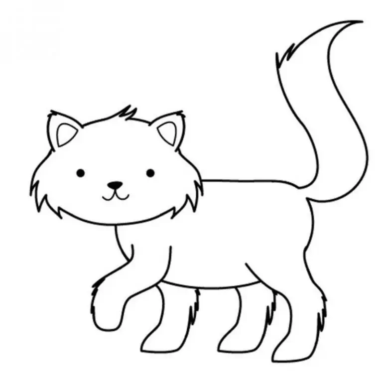 새끼 고양이 색칠하기