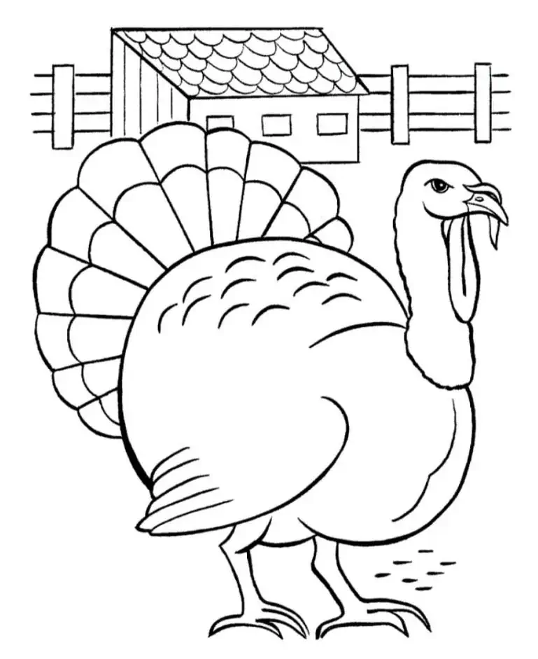 Turkey para sa pagkukulay.