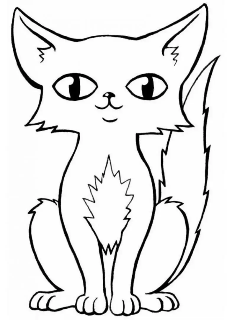색칠 공부 앉아있는 고양이