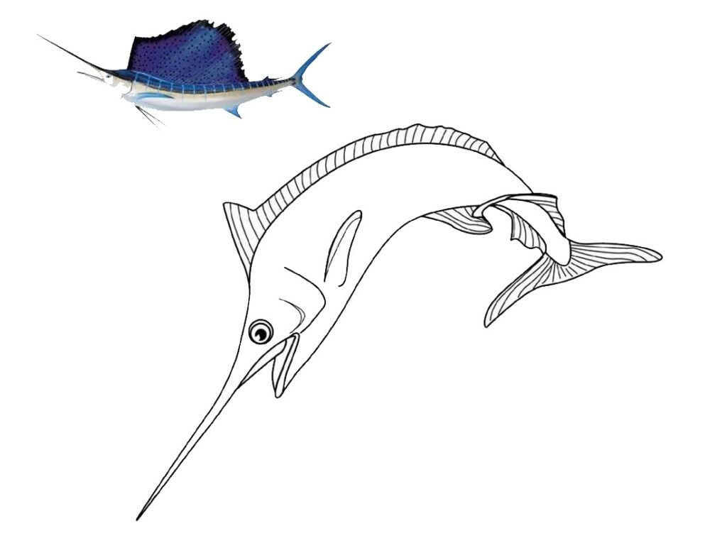 Sejlfisk (Istiophoridae) til farvelægning