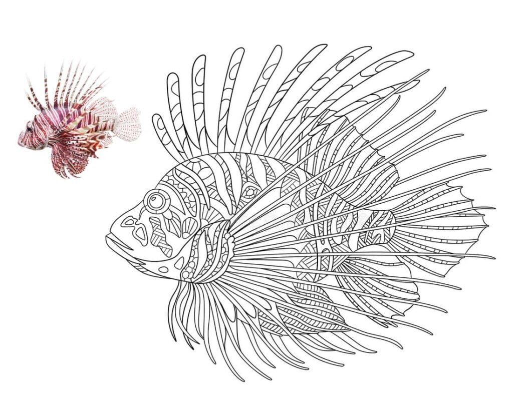 Lionfish (Pterois volitans) kwa ajili ya kuchorea