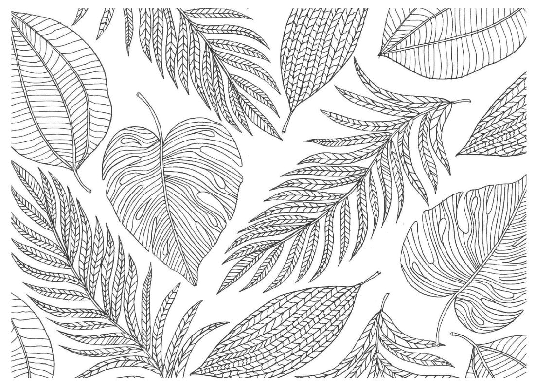 Большой рисунок на весь лист