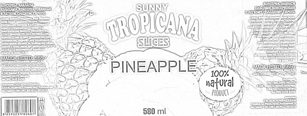 Säilytetty ananas etiketti värityskuvat varten