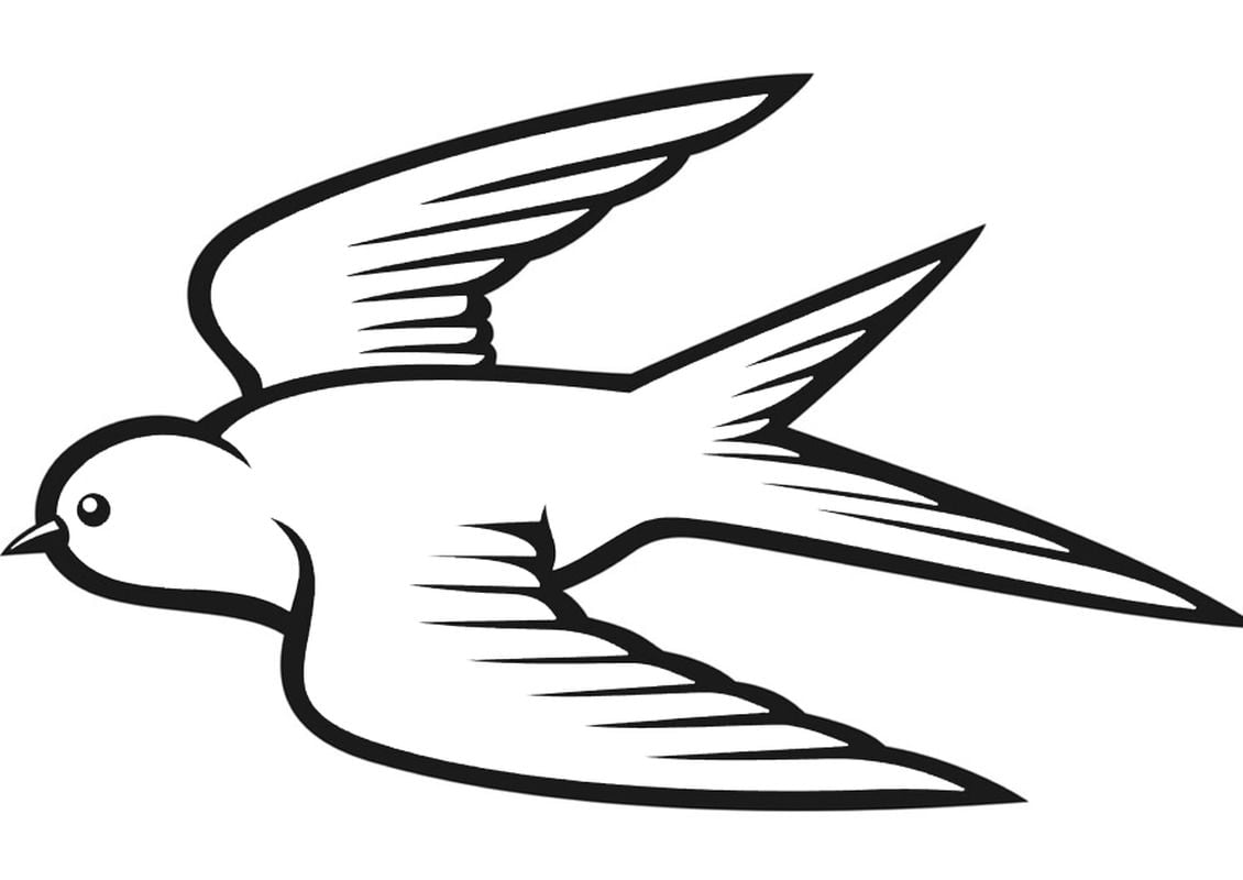 Paukščiai spalvinimui 🦜 PEPE.LT