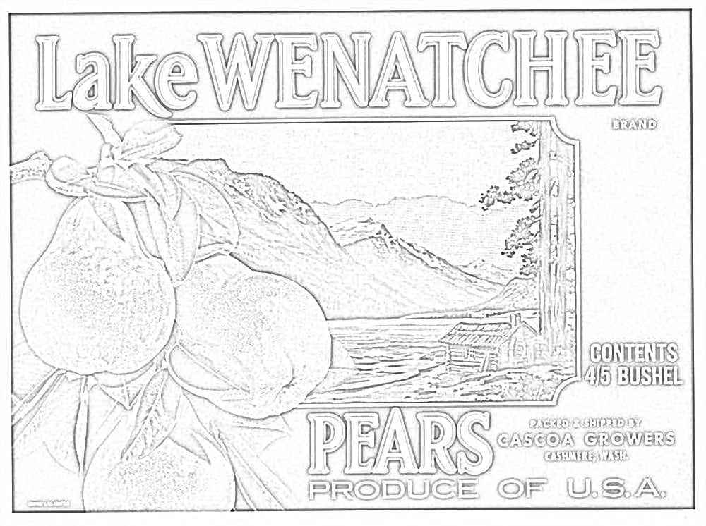 Étiquette de poires du lac Wenatchee