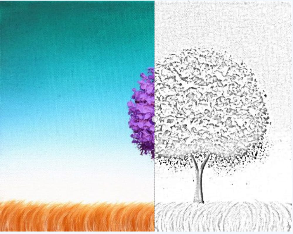 Colorear el árbol afuera