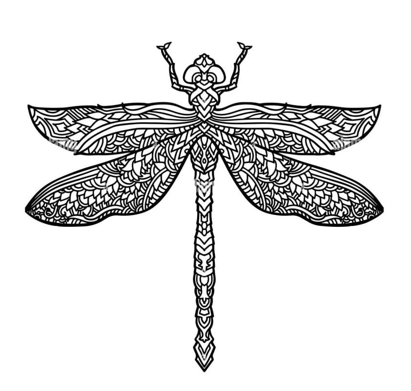 Mandala Dragonfly