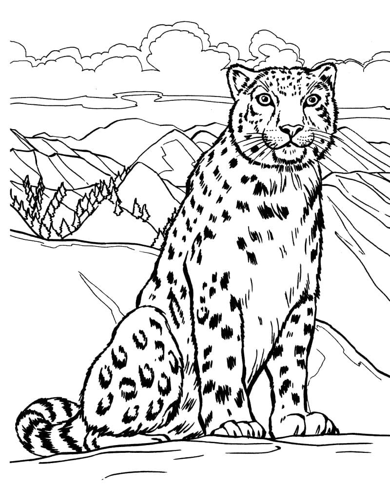 Léopard coloriage