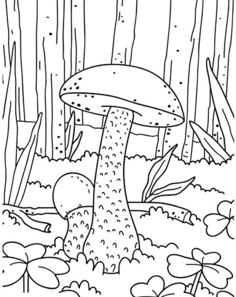  Coloriages - Champignon Lepšis