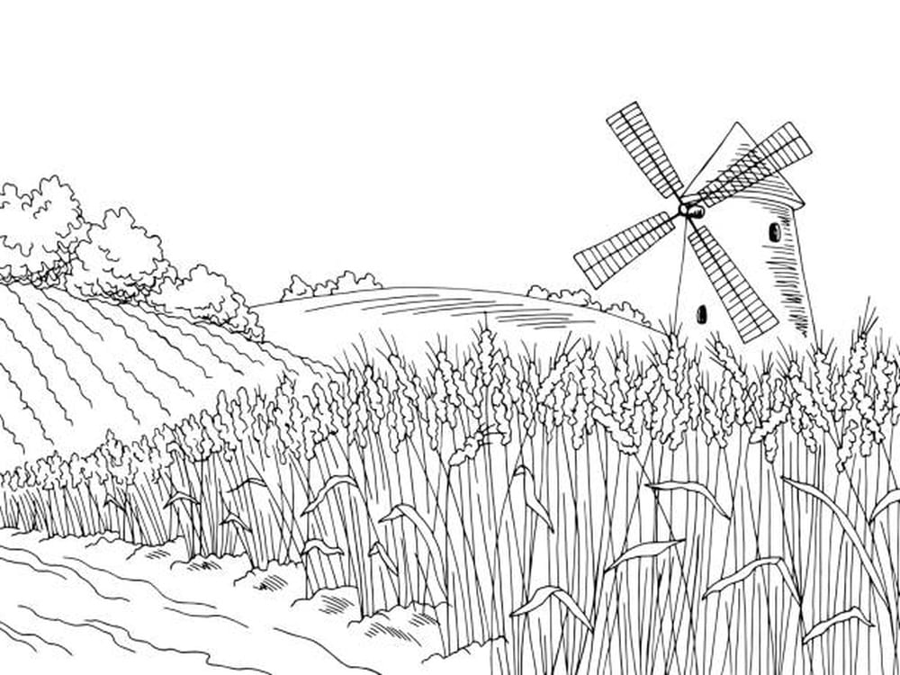 Mill, rye drawing sa pagkukulay