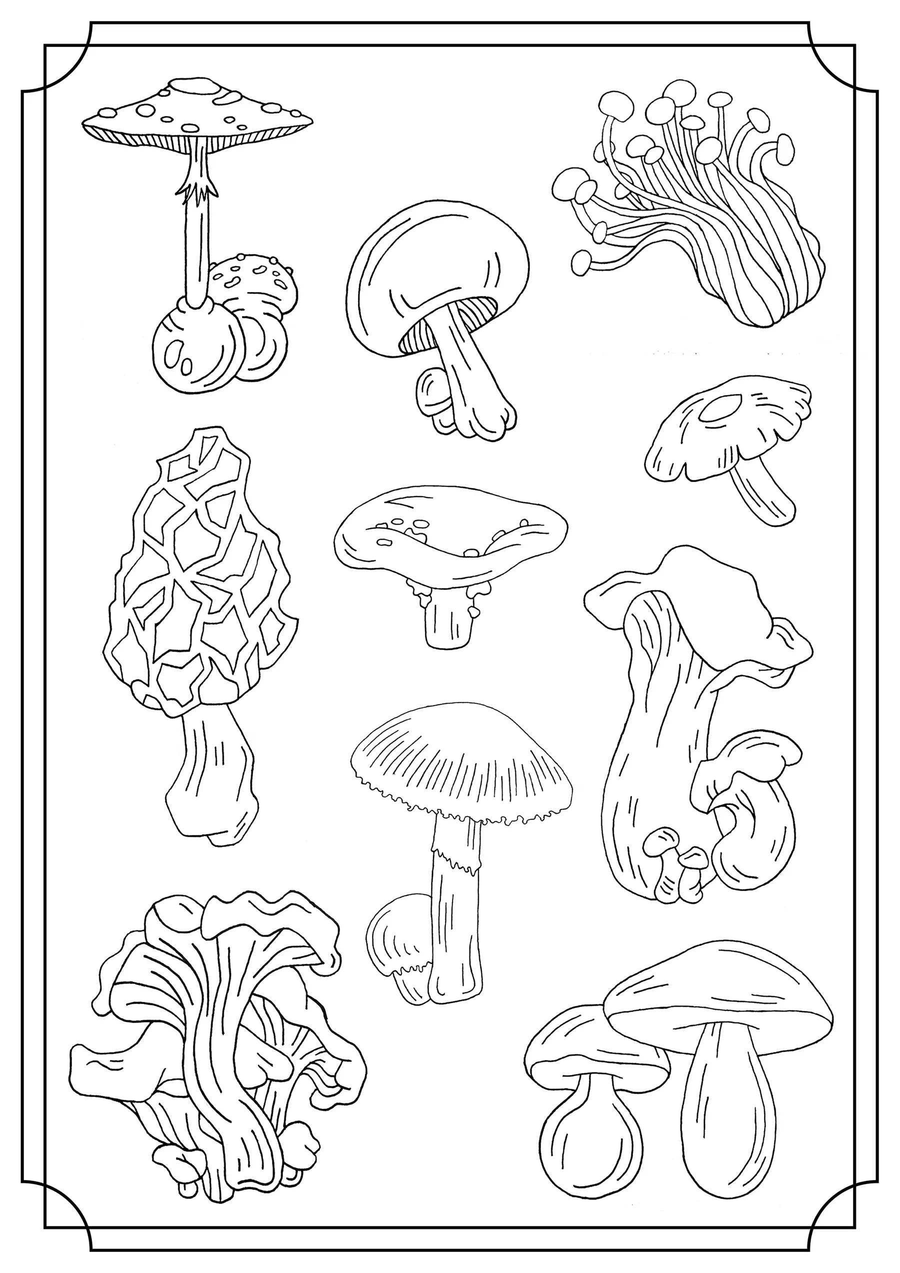 Les champignons forestiers sont coloriages