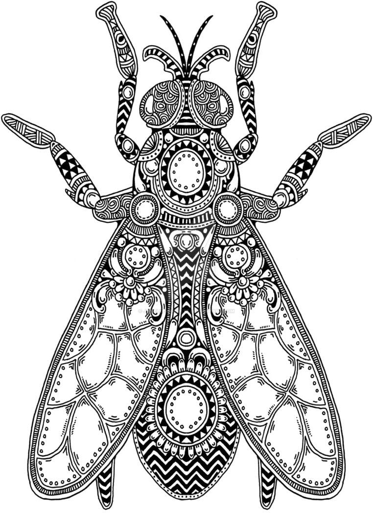 Mandala volante