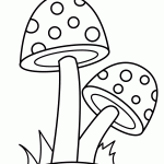 färgade svampar