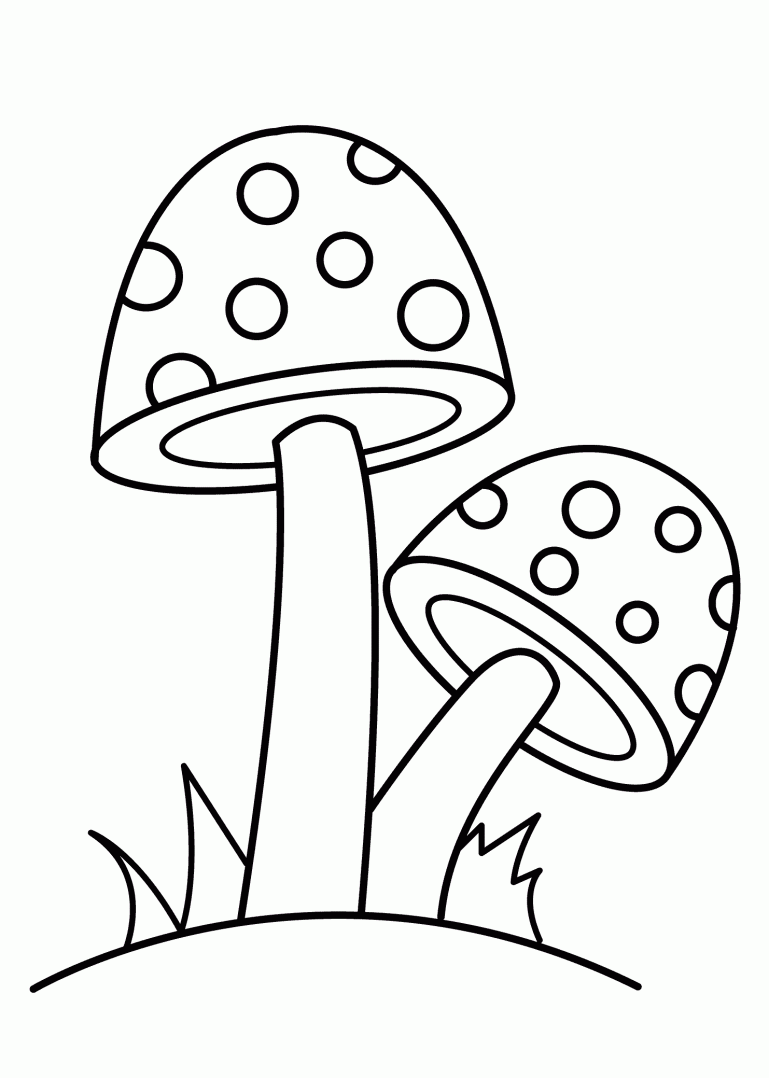 Grybai spalvinti 🍄 grybai spalvinti