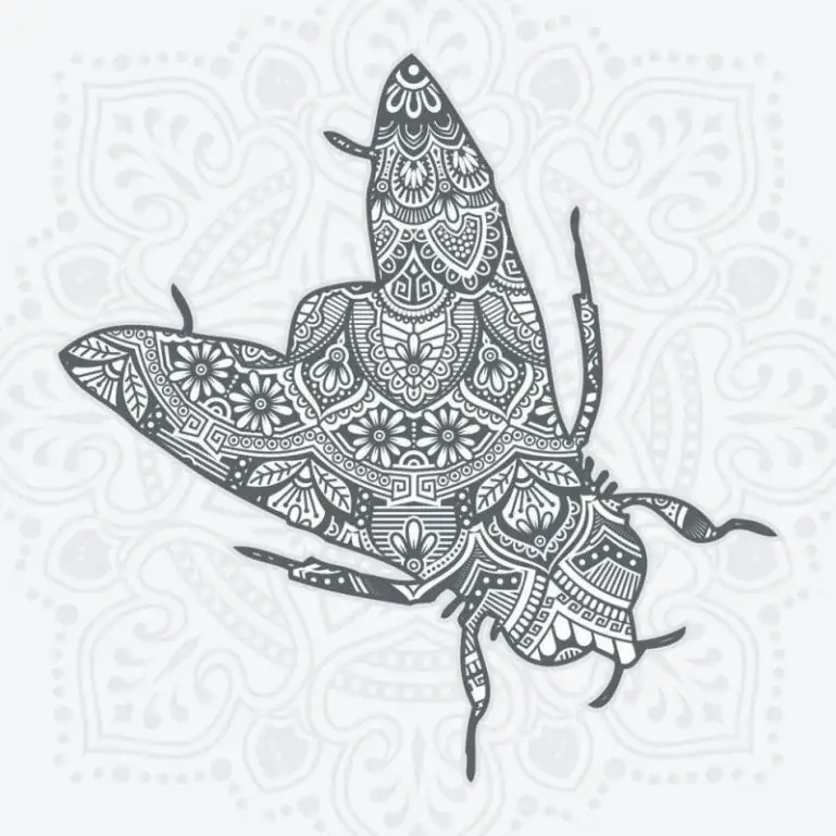 Mandala volante