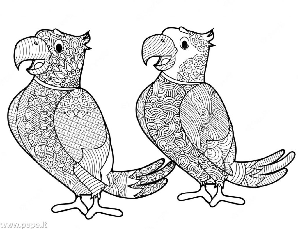 dva papagáje