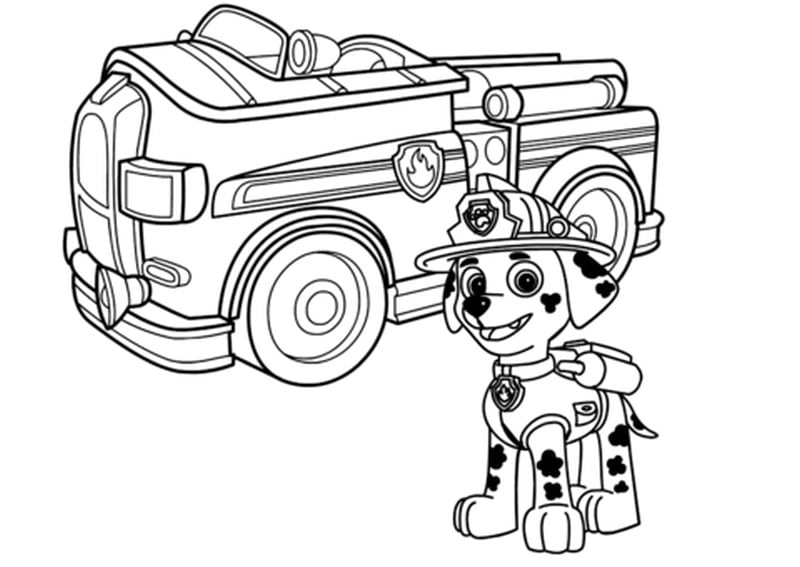 Pawpatrol boyama sayfası