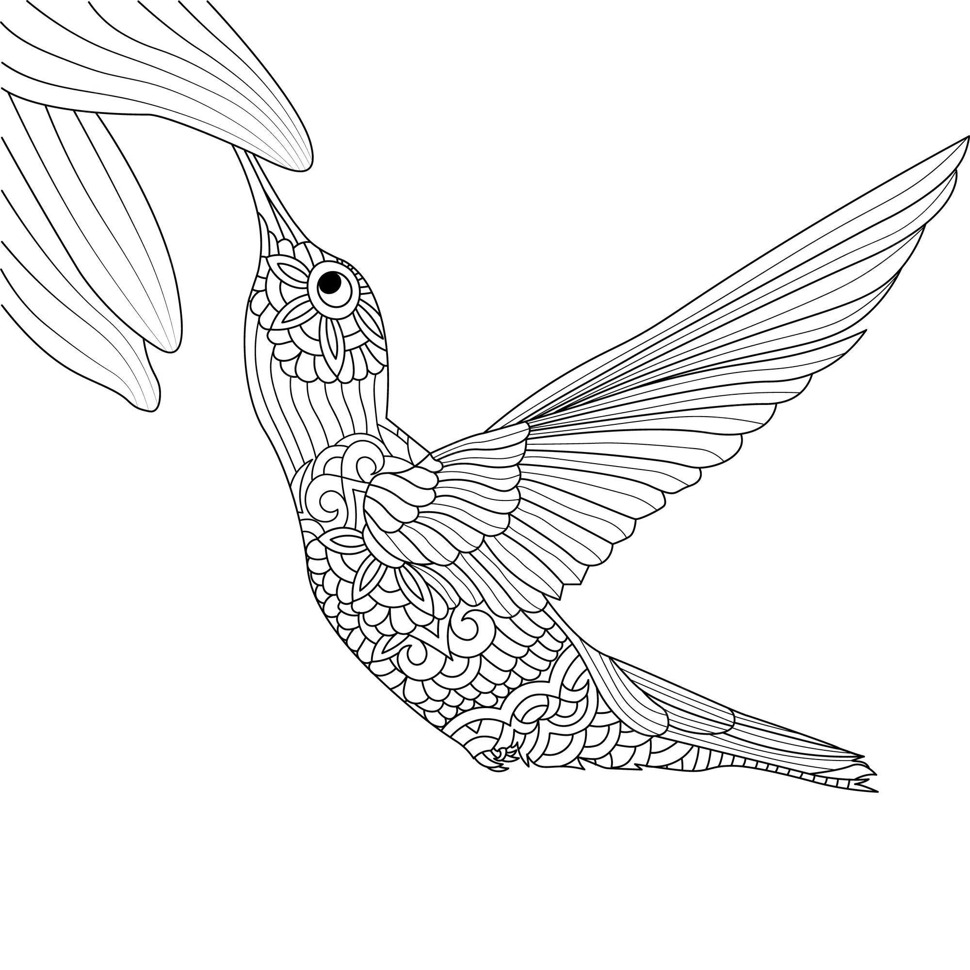 colibrí mandala 2