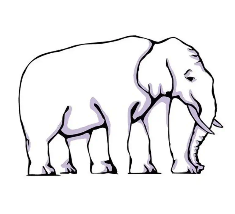 4 ou 5 pattes ?