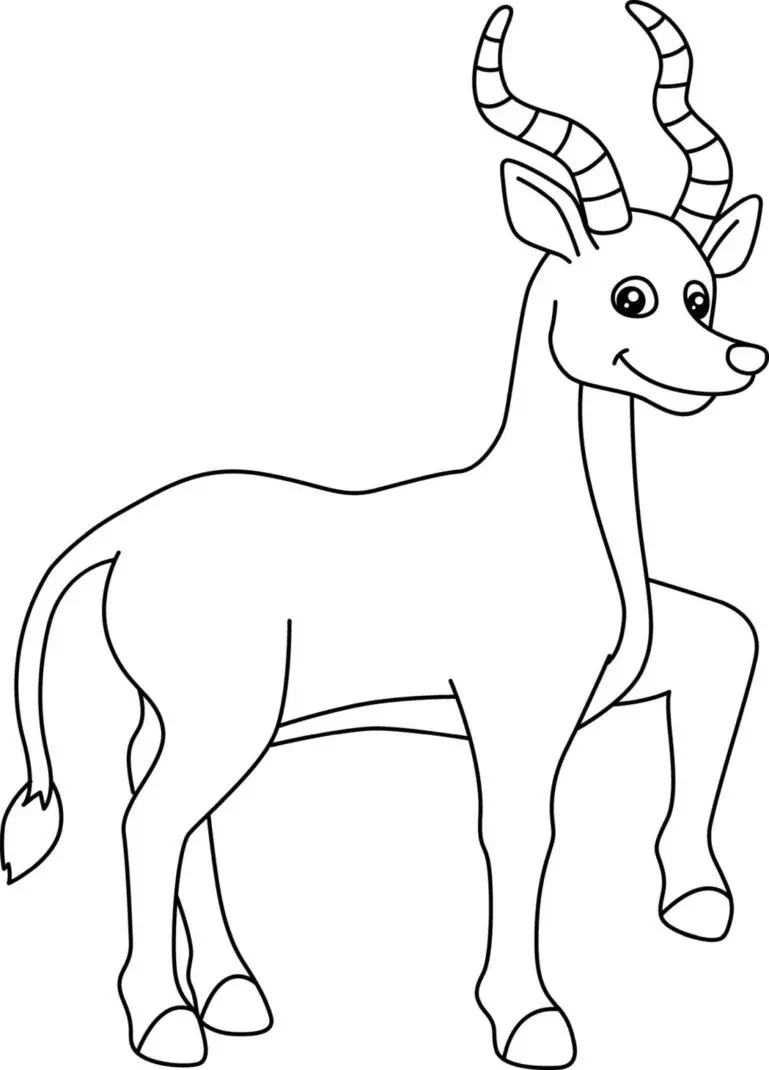 Antilope til farge