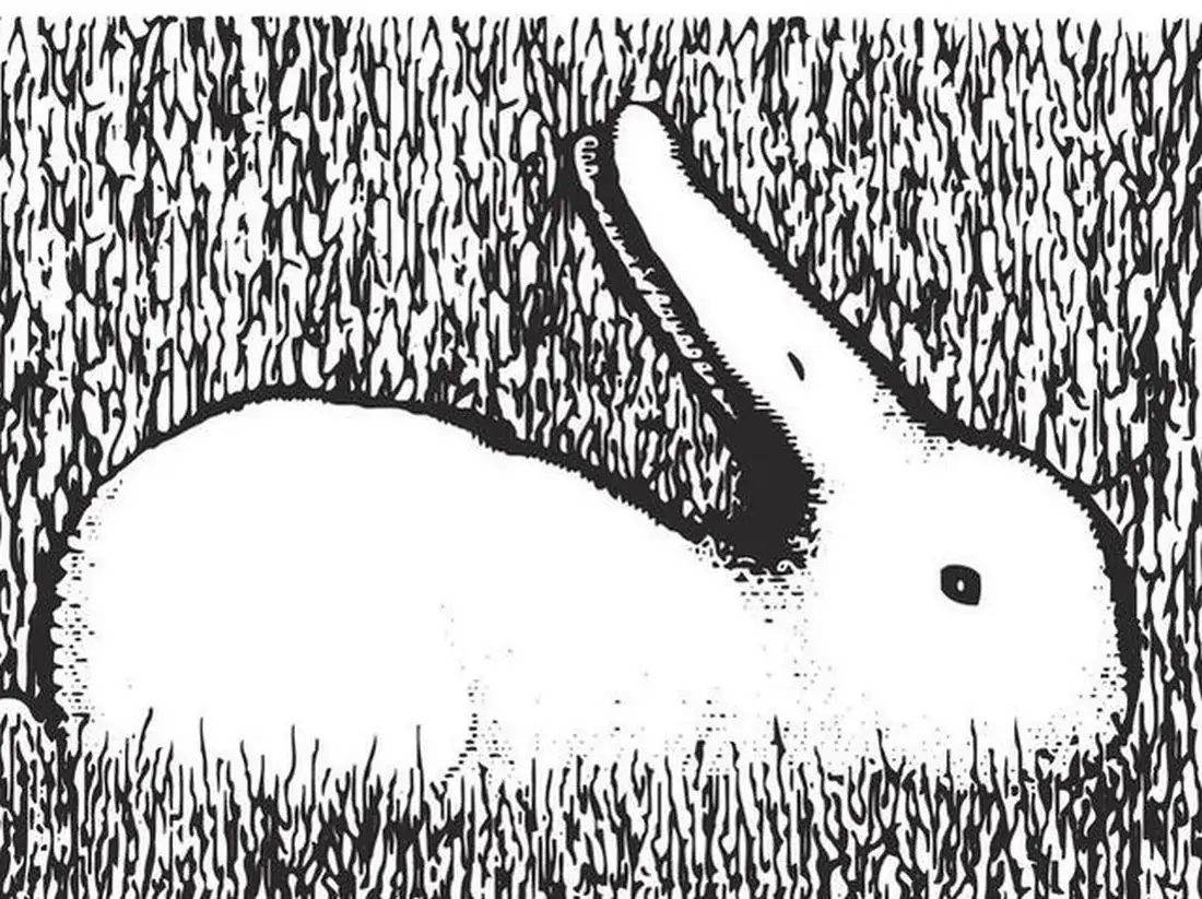 illusion d'optique lièvre-canard illusion
