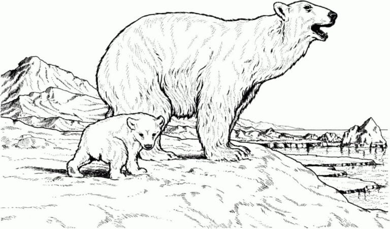 Laukiniai gyvūnai spalvinimui 🐒 – PEPE.LT
