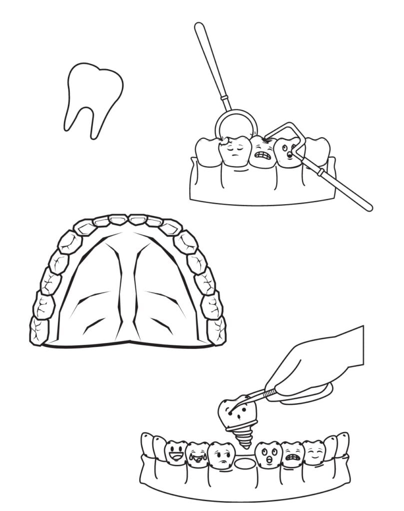 Žmogaus dantys