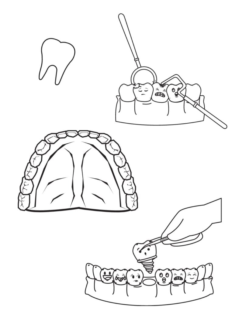 dientes humanos