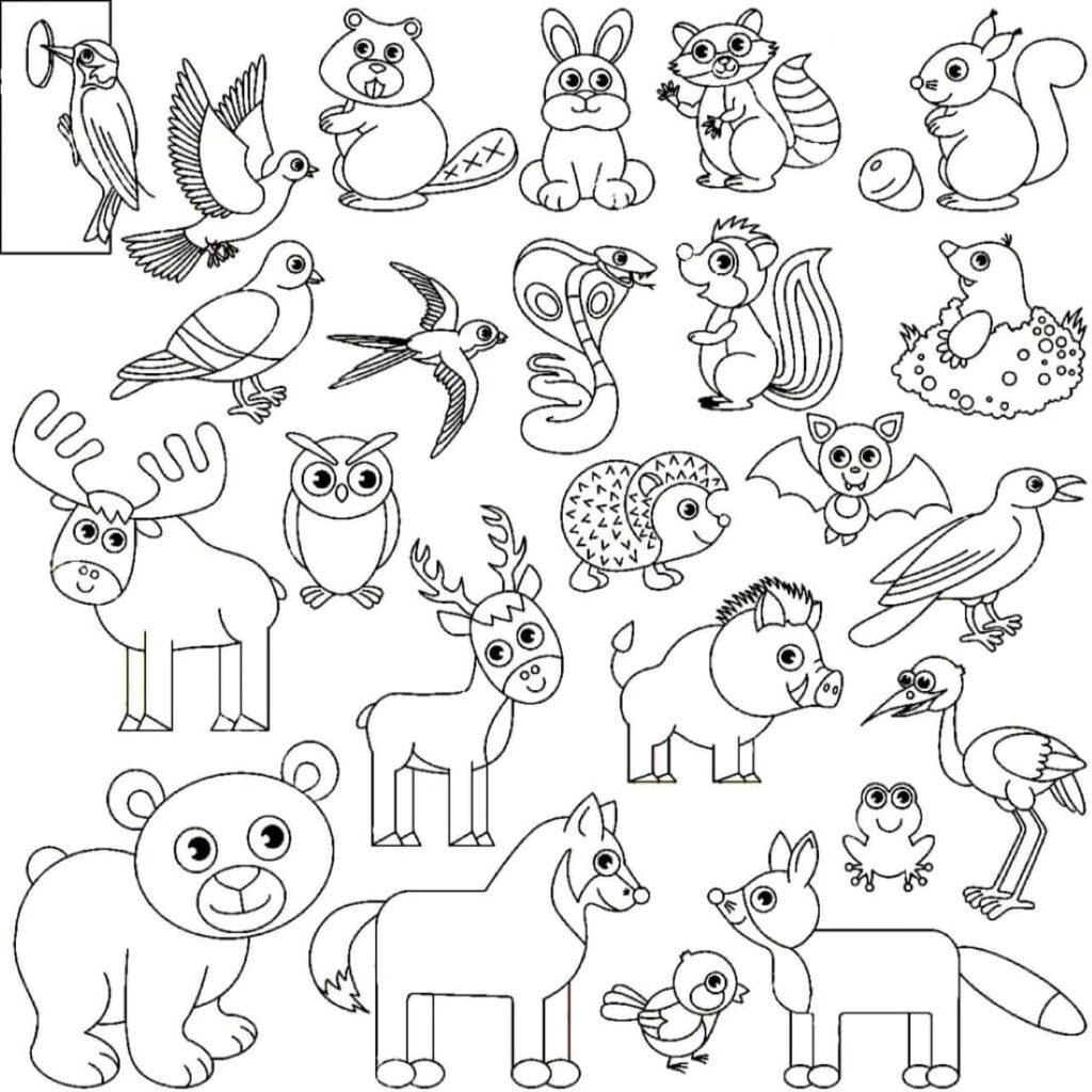 Muchos animales para colorear.