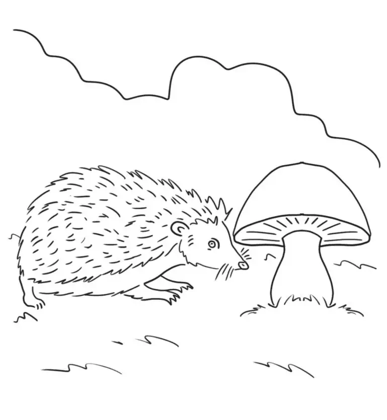 Igel Pilz