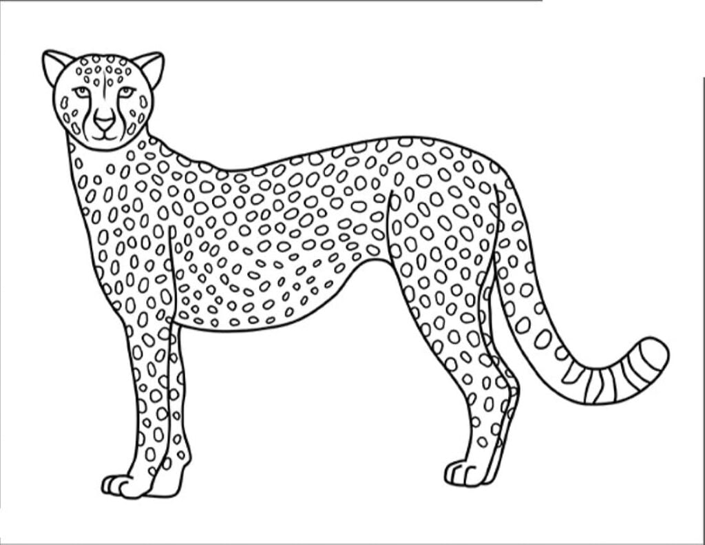 Cheetah để tô màu