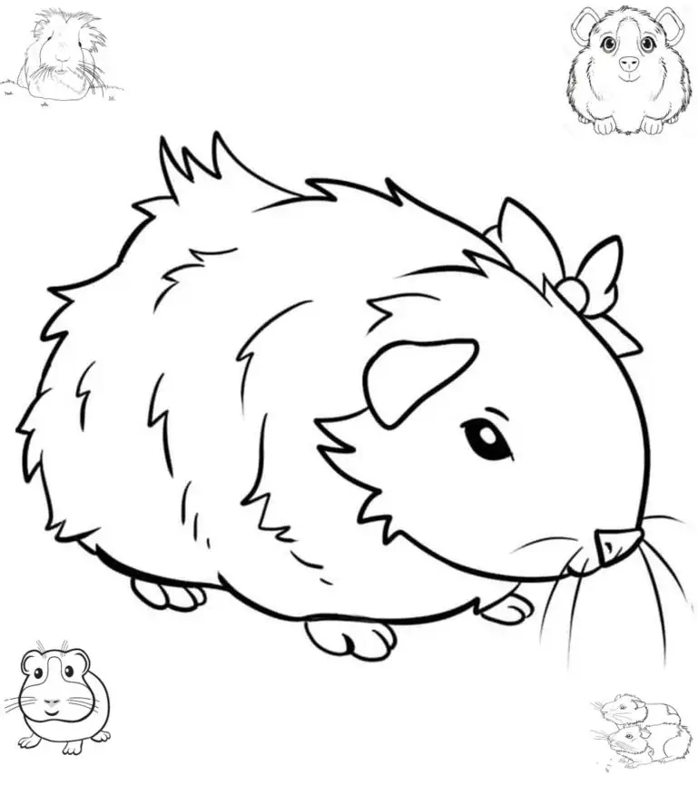 Guinea pig upang kulayan