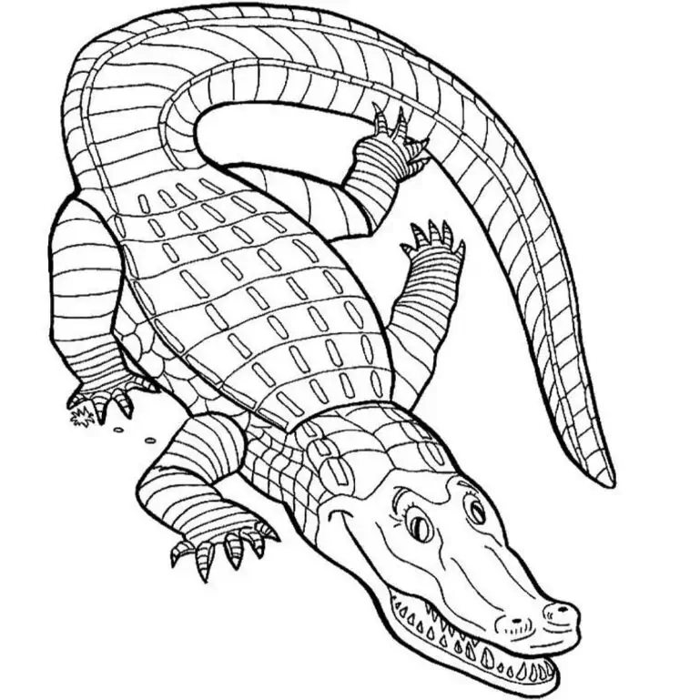 Caiman å fargelegge