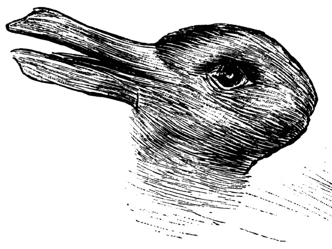 Lièvre ou canard ?