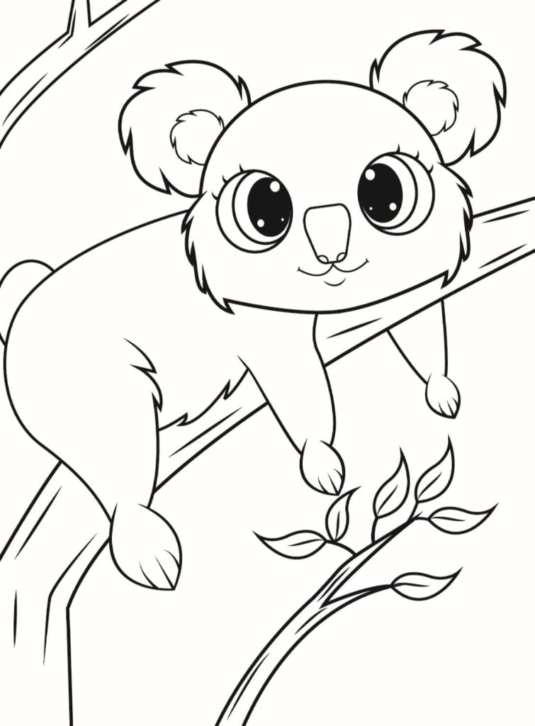 Rengkirina Koala