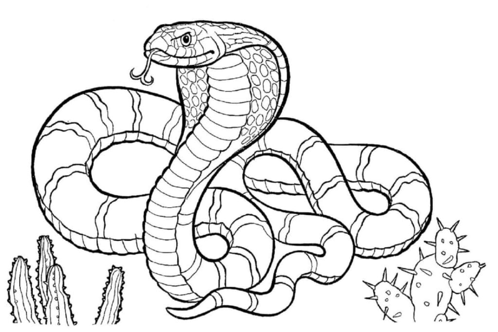 cobra para colorear