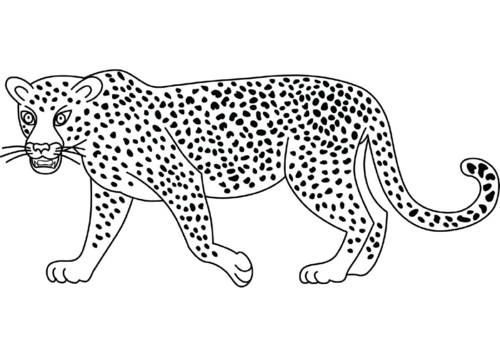 Leopar