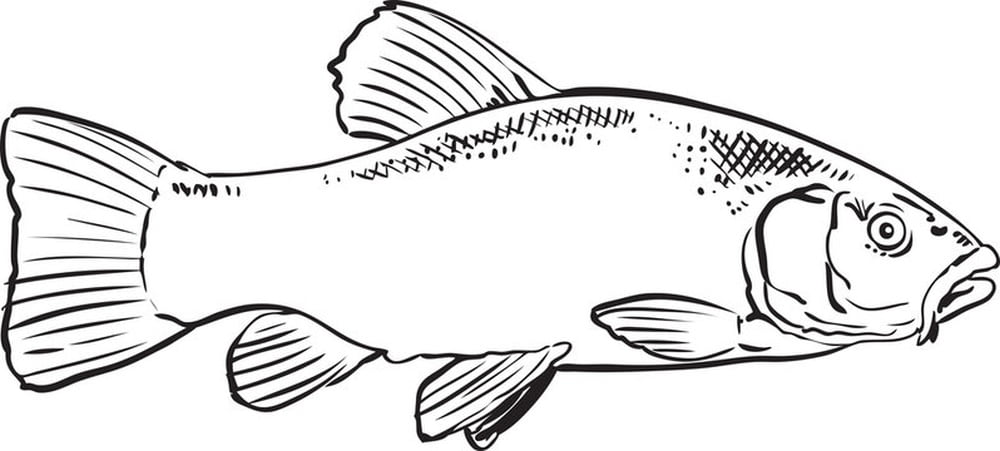 Litauisk fisk LYNAS
