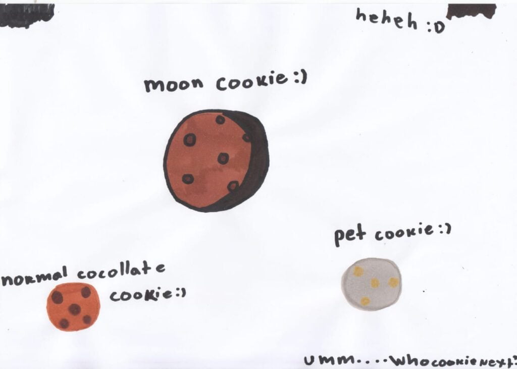 Moon cookie