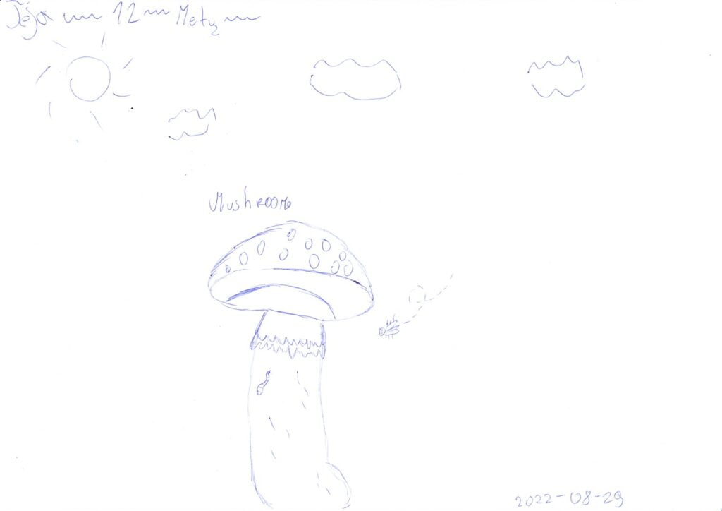 Cogumelo desenhado com caneta esferográfica