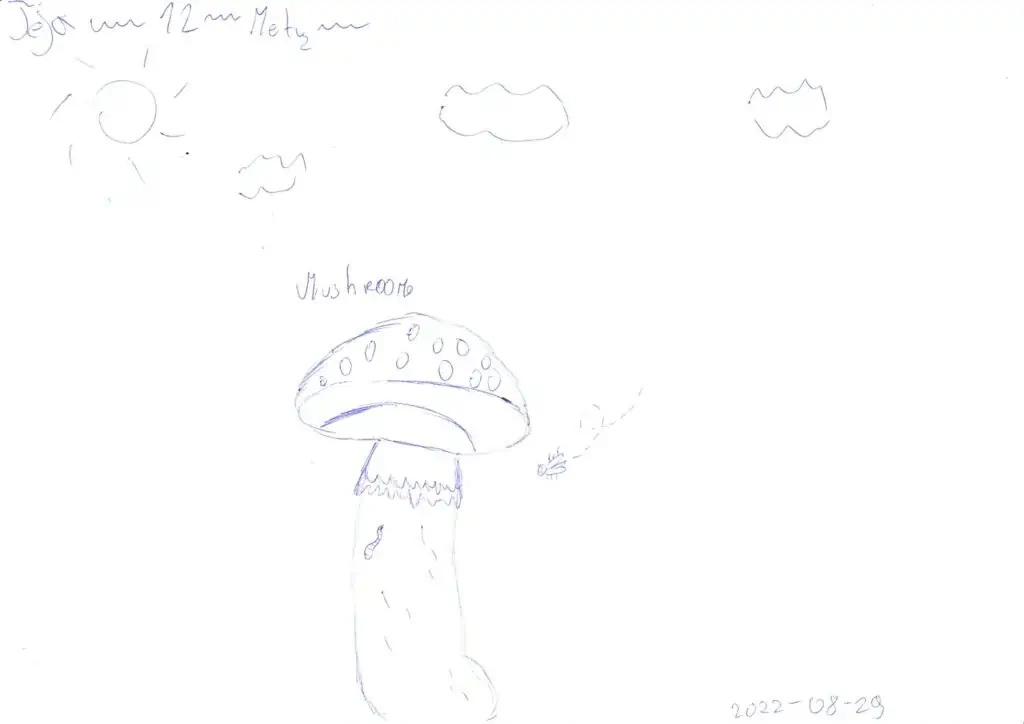 Mushroom grybas pieštas tušinuku