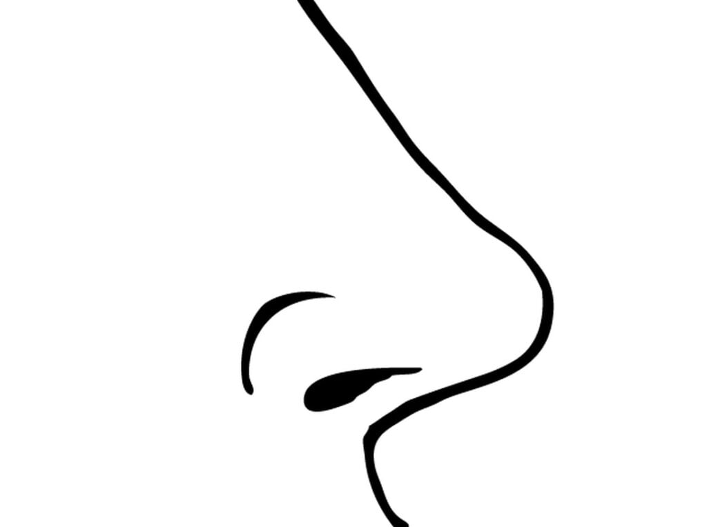 Omalovánky nosu