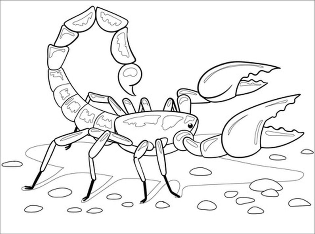 scorpion coloriage