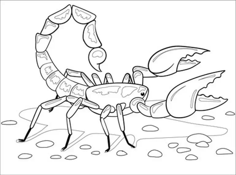 skorpion å farge