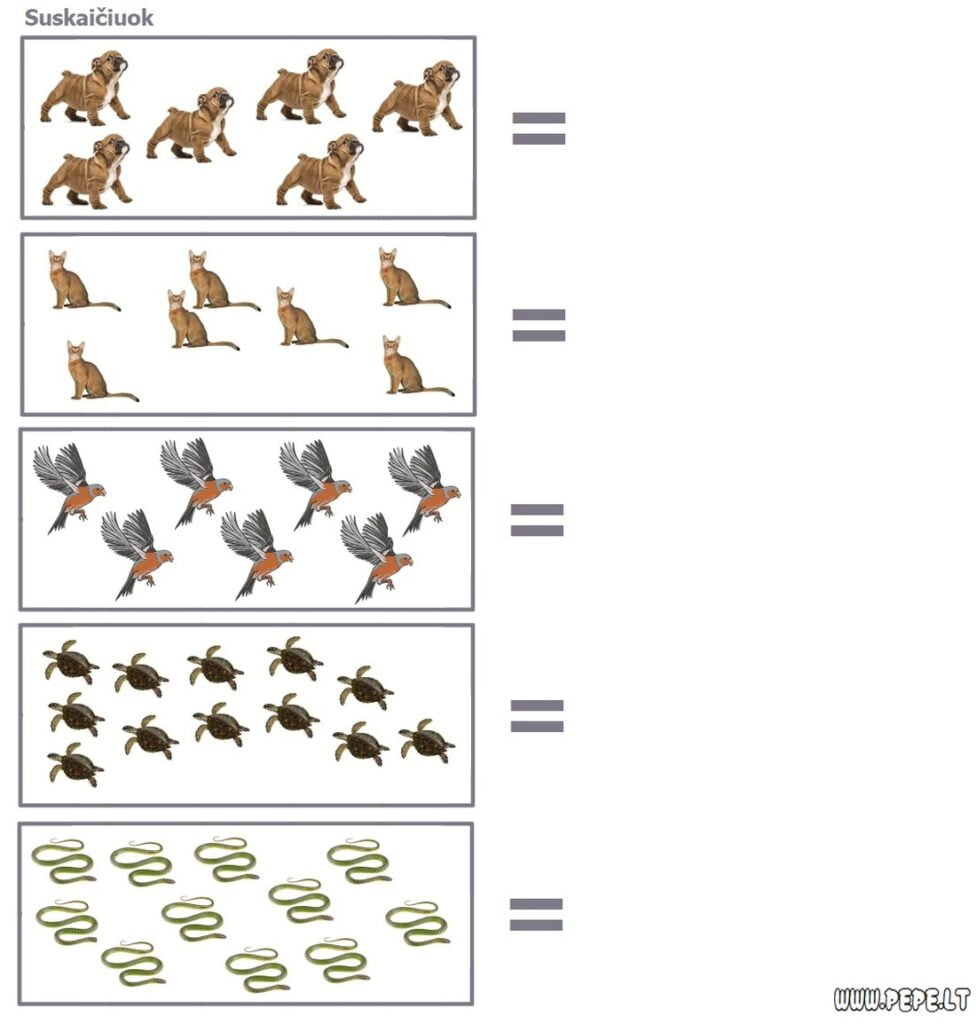 Wiskundige taak tel de dieren